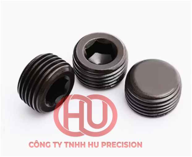 Nút Bịt Ren (threaded plug / sealing plug) 3